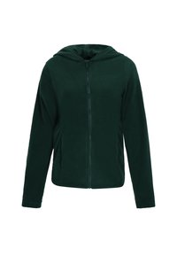 Giacca in pile verde scuro con zip frontale, maniche lunghe e cappuccio. Texture liscia, senza motivi e tasche laterali per riporre oggetti.