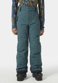 Helly Hansen LEGENDARY PANT UNISEX - Täckbyxor - dark creek