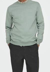 Felpa verde chiaro con scollatura rotonda e polsini a costina, abbinata a pantaloni grigio scuro. Tessuto compatto, vestibilità rilassata.