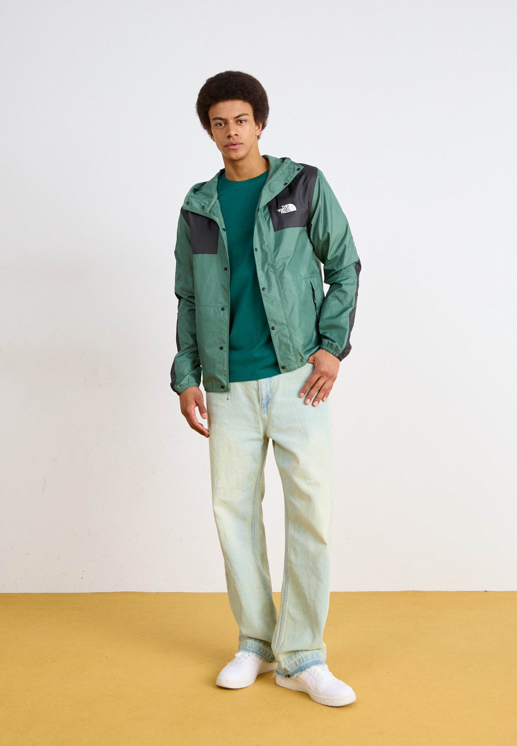 The North Face SEASONAL MOUNTAIN JACKET - Leichte Jacke - duck