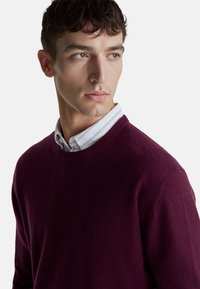 Bordowy sweter z dekoltem typu crew-neck pokazany na białej koszuli z cienkimi paskami. Miękka tkanina, klasyczny krój i gładka faktura.