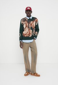 Πράσινο πλεκτό πουλόβερ με καφέ και πορτοκαλί αφηρημένο μοτίβο, φορεμένο πάνω από μπλε ριγέ πουκάμισο. Μπεζ παντελόνι με φαρδιά μπατζάκια και καφέ αθλητικά παπούτσια. Κόκκινο καπέλο.