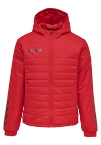 Rode gewatteerde jas met een capuchon, voorzien van een rits aan de voorkant, elastische manchetten en grijze chevronpatroonaccenten op de mouwen. Logo op de borst.
