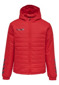 Hummel - SHORT BENCH - Manteau d'hiver - true red Image miniature 1