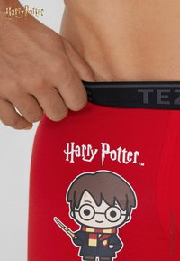 Ruka držící lem červených spodních kalhotek s karikaturou Harryho Pottera se skly, jizvou, hůlkou a šálou a nápisem „Harry Potter“ nad nimi.