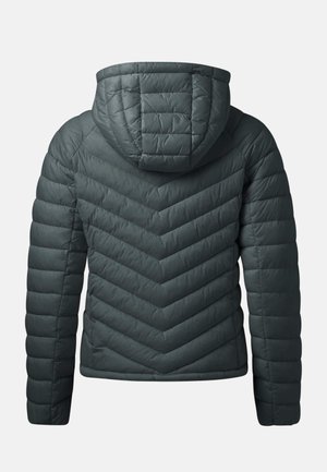 Denim Factory, VERMONT LIGHTWEIGHT HOOD - Χειμωνιάτικο μπουφάν - dusty olive