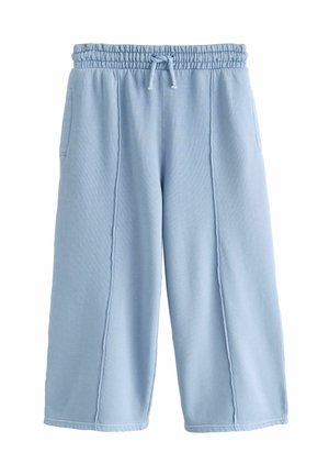 Next WIDE JOGGERS - Pantaloni de trening - blue
