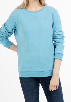 Sudadera azul claro con puños y dobladillo acanalados. Presenta un cuello redondo y detalles bordados sutíles en el pecho y la manga.