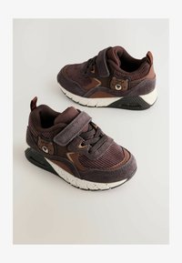 Pasirinkta, brown bear