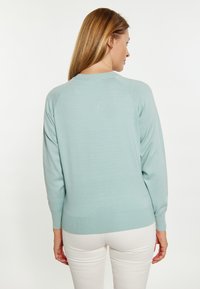 Hellblauer, gestrickter Pullover mit langen Ärmeln, gerippten Bündchen und Saum. Glatte Textur mit lockerer Passform, ohne Muster oder Verzierungen.