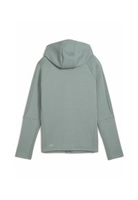 Lichtgroene capuchontrui met lange mouwen, raglan schouderontwerp en gladde, zachte stof. Voorzien van een geperst zoom en minimale merkdetails.