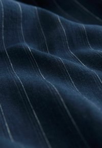 PETITE FIT - RICH WIDE - Kelnės - blue pinstripe
