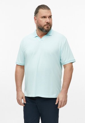 Man met een baard en donker haar dat naar achteren is gebonden, draagt een lichtblauw poloshirt met korte mouwen en een donkere broek, staat en kijkt opzij.