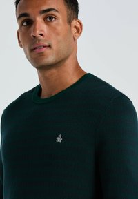 Mann mit kurzen dunklen Haaren, der einen dunkelgrünen strukturierten Rundhalspullover mit kleinem Pinguin-Logo auf der Brust trägt.