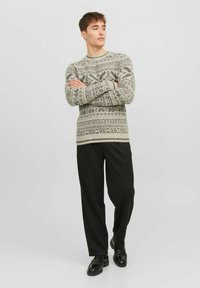 Gestrickter Pullover in Hellgrau mit einem gemusterten Design und dunklen grünen Akzenten. Kombiniert mit schwarzen Hosen und schwarzen Schuhen.