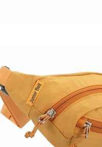 Deuter Heuptas - amber