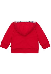 Felpa rossa con un rivestimento a motivi di colore chiaro. Presenta un cappuccio regolabile con coulisse e polsini a coste. Realizzata in tessuto morbido e resistente.