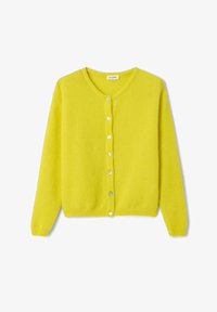 Nevybrané, ananas chine