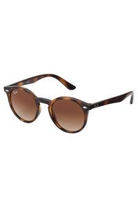 Runde solbriller med skjellramme, brune gradientlinser og metallakenter på stengene som viser Ray-Ban-logoen.