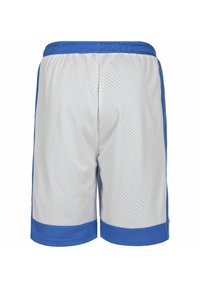 Spalding REVERSIBLE - Pantaloncini sportivi - royal blue white