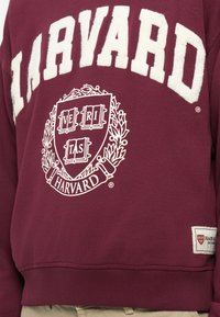 Burgundi színű pulóver, melyen fehér betűkkel szerepel a "HARVARD" felirat. Hímzett címer található rajta, amelyen a "VERITAS" látható egy pajzson. Ribbed mandzsetták és derék.