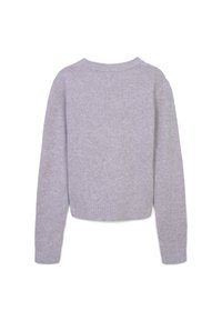 Maglione grigio chiaro con scollo rotondo e polsini a coste. Morbido al tatto, maniche lunghe e design corto. Nessun motivo visibile o hardware.