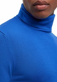 FALKE BASIC ROLL NECK - Strickpullover - yve