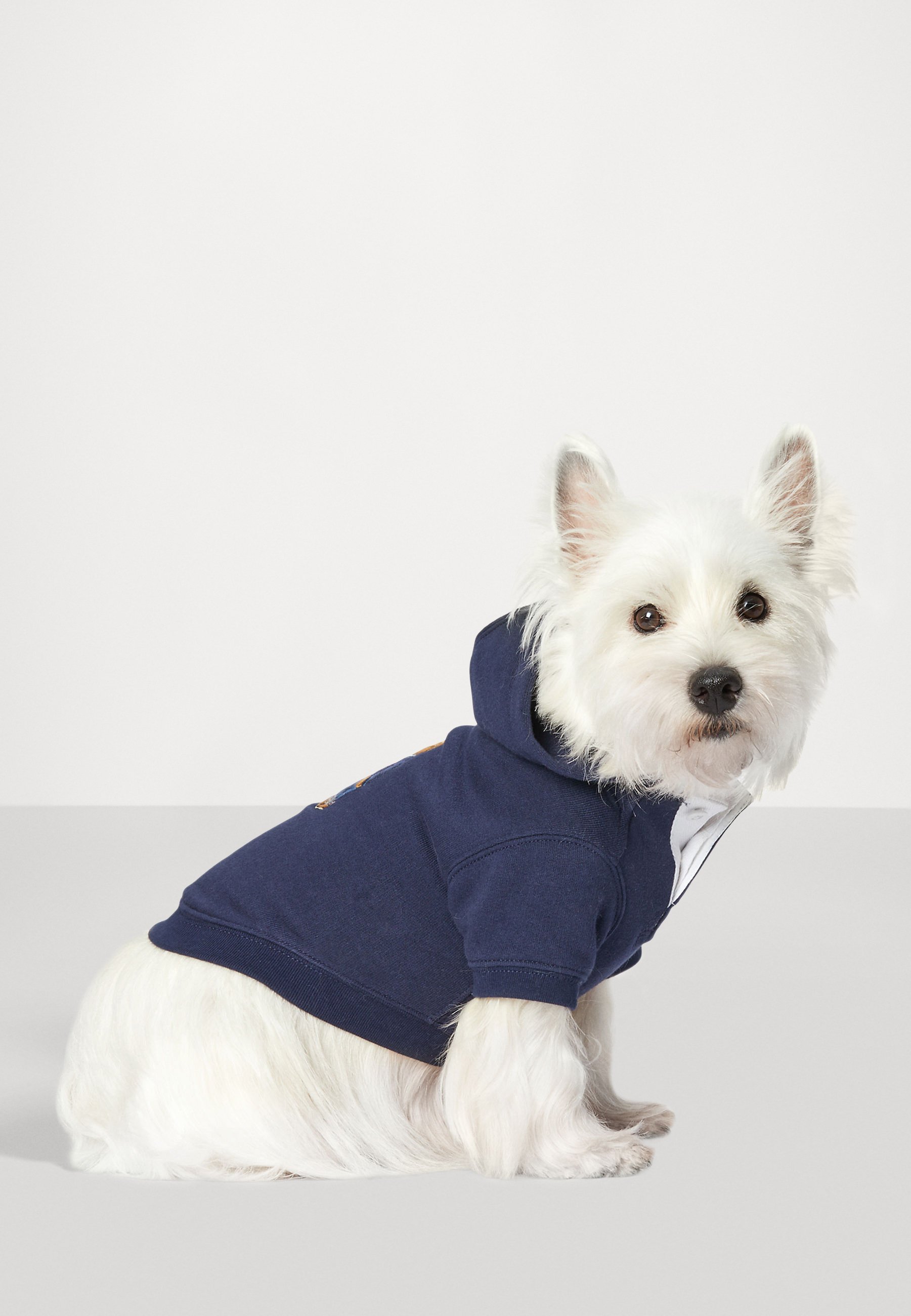 Polo Ralph Lauren BEAR DOG HOODIE - Pet accessory - cruise navy/dark blue -  Zalando.co.uk
