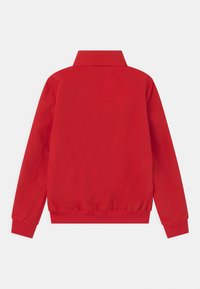 Rood jack met een gladde textuur, voorzien van een opstaande kraag, elastische zoom en manchetten, en een eenvoudig, functioneel ontwerp. Achterzicht weergegeven.