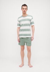 Pánsky outfit s zeleno-bielym pruhovaným tričkom s krátkym rukávom a zelenými šortkami. Materiál sa zdá byť jemný, vo voľnom štýle.