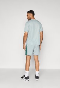 Αθλητική γκρι ανοιχτή μπλούζα και σορτς με πράσινες ρίγες στο πλάι. Το μοντέλο φοράει μαύρα αθλητικά παπούτσια και λευκές κάλτσες, φαίνεται από πίσω.