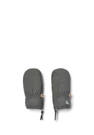 Un par de manoplas grises aislantes con correas para las muñecas, puños elásticos y cremalleras laterales, sobre un fondo blanco.