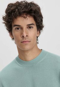 Mintgrüner gestrickter Pullover mit rundem Hals und gerippten Bündchen, der eine glatte Textur und eine taillierte Passform aufweist.