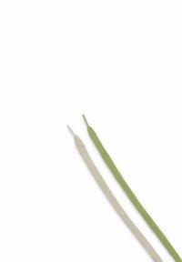 Deux lacets de chaussures : l'un beige clair avec un tissage texturé, l'autre vert uni et lisse, tous deux avec des pointes effilées.