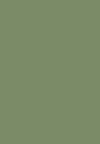 759 olive green