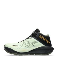 Scarpa da trail running con tomaia grigia chiara e nera, mesh testurizzato, etichetta GORE-TEX e suola grigia robusta per una migliore trazione.