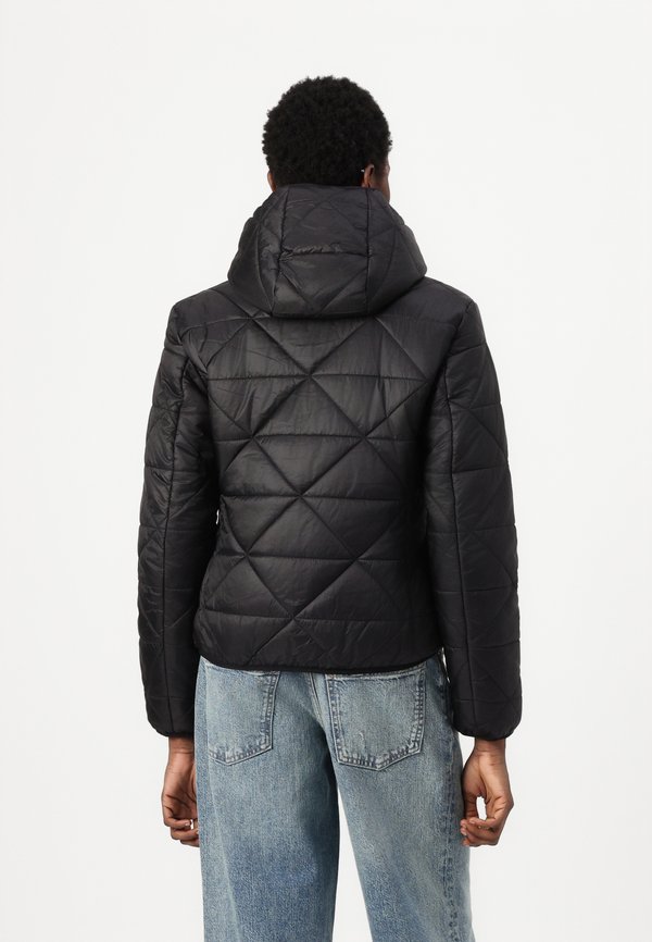 FANDINE - Winter jacket3