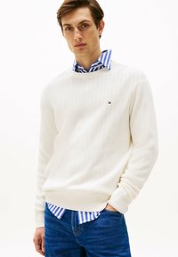 Tommy Hilfiger TEXTURED CREW NECK - Jumper - ivory petal
