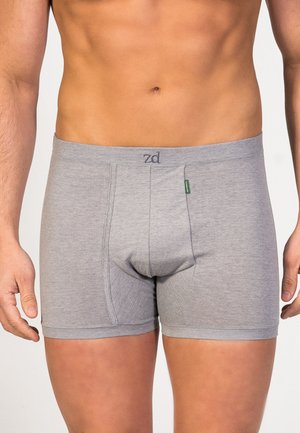 ZD Zero Defects HELIOS - Calzoncillos bóxer largos - Grey