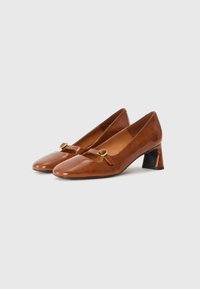 Brown leather high-heeled shoes with a pointed toe, featuring a strap and gold hardware detail, and a chunky black heel.