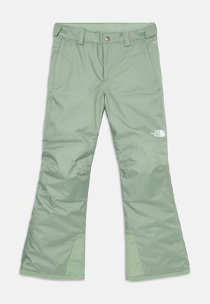 FREEDOM INSULATED PANT UNISEX - Talvihousut - slate moss