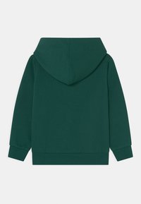 Sudadera con capucha de color verde oscuro y mangas largas, con puños acanalados, mostrada desde la parte posterior sobre un fondo blanco liso.