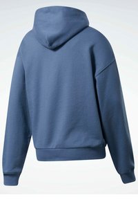 Hoodie bleu à manches longues avec poignets et ourlet côtelés, vu de dos sur un fond clair uni.