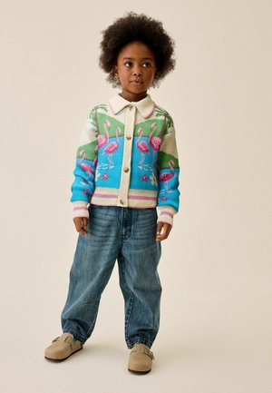 Next, REGULAR FIT - COLLARED CARDIGAN - Strickjacke - flamingo printed