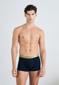 Sorte bomuld boxer briefs med et guld elastisk taljebånd, der har "TOMMY HILFIGER" logoet. Modellen står med armene afslappet ned langs siden.