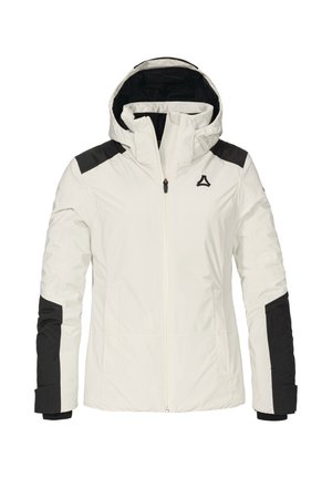 STYLE ZANDWEL WMS - Snowboard jacket - natur
