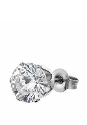 MIT ZIRKONIA - Orecchini - silver-coloured