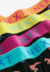 Next 4 PACK - Trunks - black neon dinosaur print