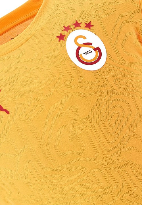 PUMA Galatasaray Istanbul Training T-Shirt — photo 3