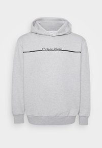 SPLIT LINE LOGO HOODIE - Sweatshirt - light grey heather